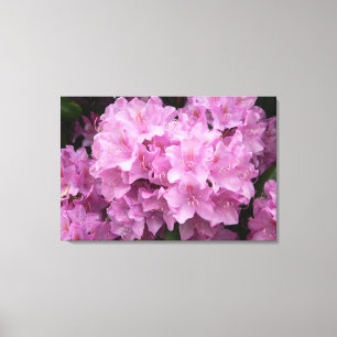 Impressão cor-de-rosa das canvas dos rododendros