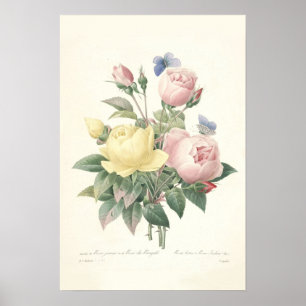 Impressão cor-de-rosa de du Bengale Canvas