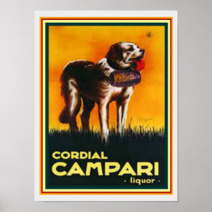 Impressão cordial 12 x 16 do licor de Campari