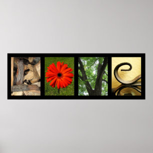 Impressão criativo da arte da fotografia do