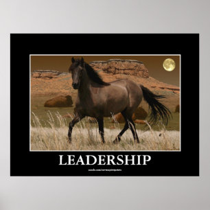 Impressão da arte da conservação do cavalo do