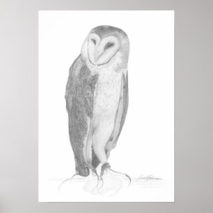 Impressão da arte da coruja de celeiro  