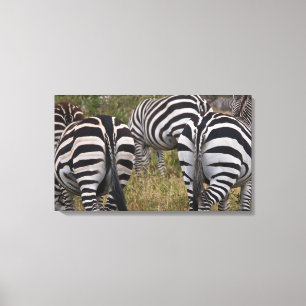 Impressão da arte das canvas dos bumbuns da zebra