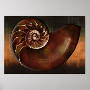 Impressão da arte de Shell