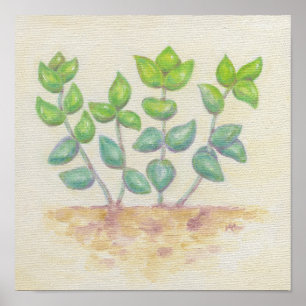 Impressão da arte do Crassula