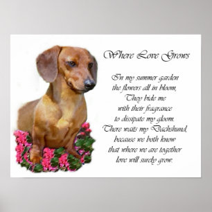 Impressão da arte do Dachshund