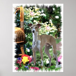 Impressão da arte do galgo italiano