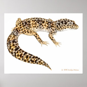 Impressão da arte do geco do leopardo