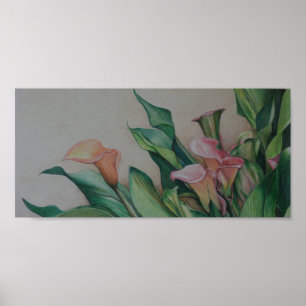 Impressão da arte dos lírios de Calla