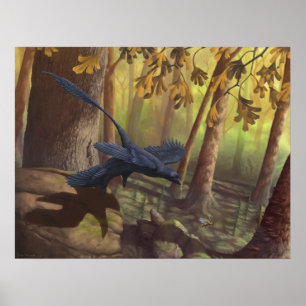 Impressão da decolagem de Microraptor