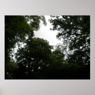 Impressão da Floresta Assustadora