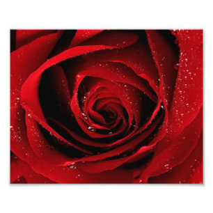 impressão da foto 8x10