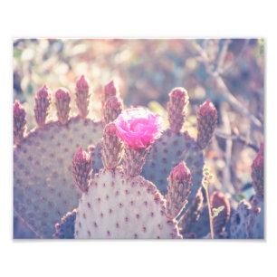 Impressão da foto da flor   da pera espinhosa