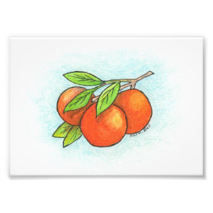 Impressão da foto da ilustração das laranjas