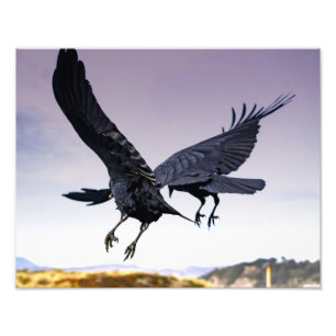 Impressão da foto do corvo em vôo junto