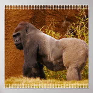 Impressão da foto do gorila do Silverback