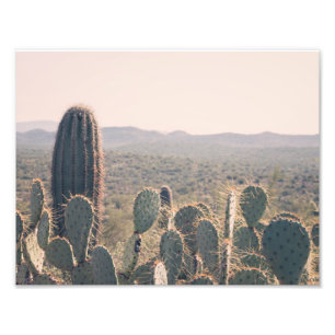 Impressão da foto dos cactos   da arizona