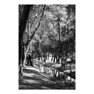 Impressão da fotografia do córrego B&W do parque