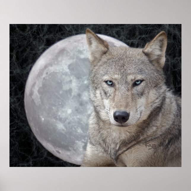 Impressão da Lua do Lobo (Frente)