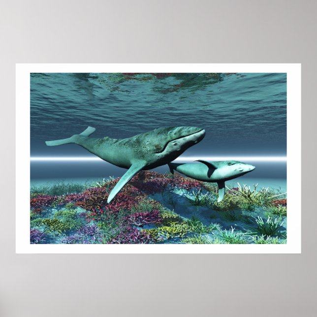 IMPRESSÃO DA MÚSICA DE BALEIA (Frente)