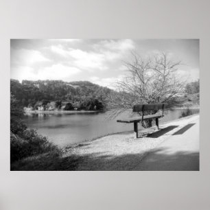 Impressão da opinião do lago