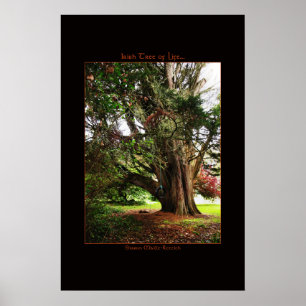 Impressão da Poster da árvore da vida na Irlanda
