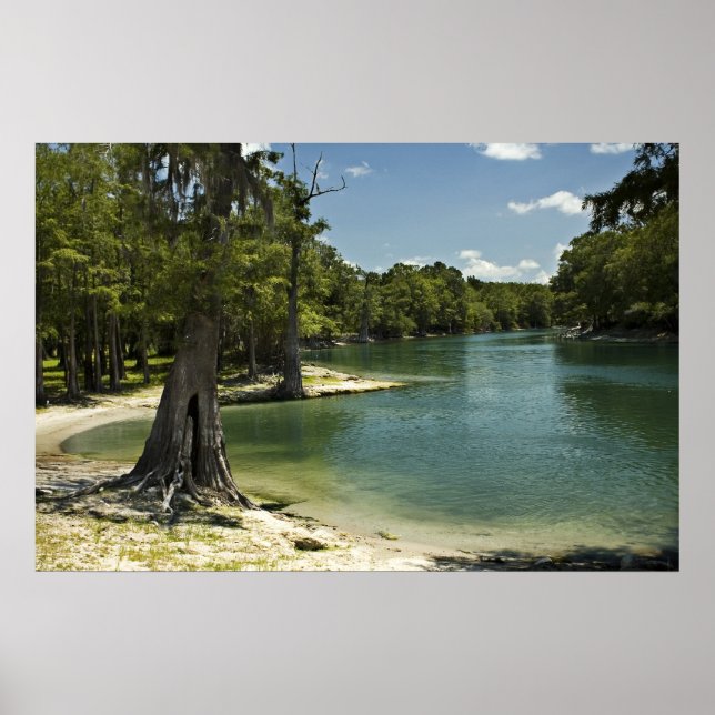 Impressão da praia do rio Suwannee (Frente)