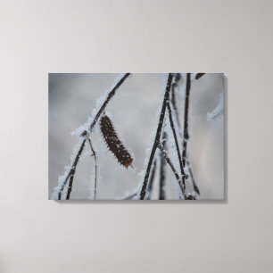 Impressão da tela de fotos de inverno