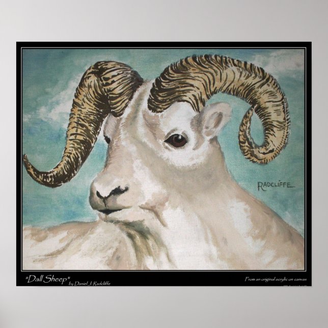 Impressão Dall Sheep, Papel Poster de Valor (Matte (Frente)