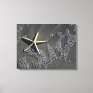 Impressão das canvas da estrela do mar da praia