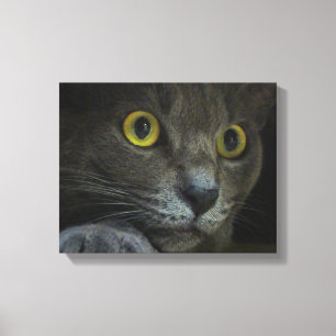 Impressão das canvas da intensidade