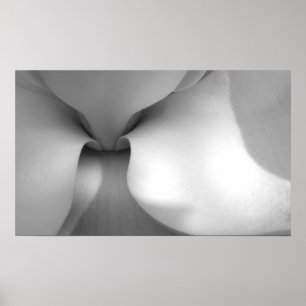 Impressão das canvas da magnólia