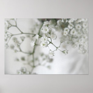 Impressão das canvas da pureza