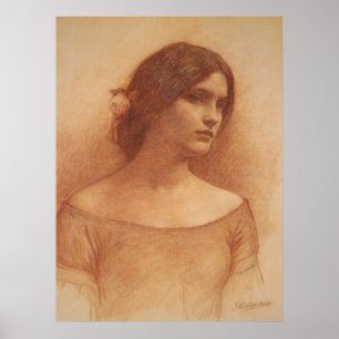 Impressão das canvas da senhora Clare