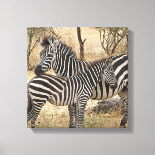 Impressão das canvas da zebra da mãe e do bebê