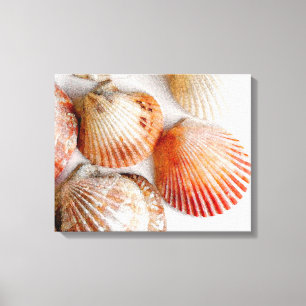 Impressão das canvas de arte dos Seashells da