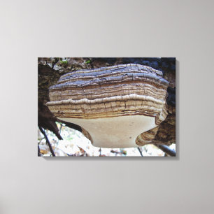 Impressão das canvas do cogumelo do igniarius de