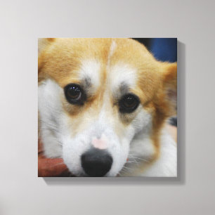 Impressão das canvas do Corgi de Galês do Pembro