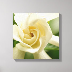 Impressão das canvas do Gardenia