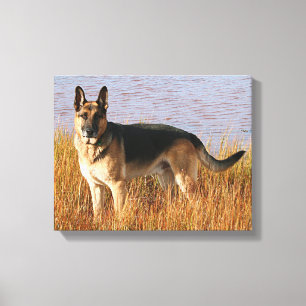 Impressão das canvas do german shepherd