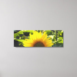 Impressão das canvas do girassol do nascer do sol