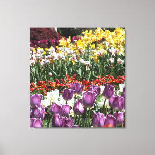 Impressão das canvas do jardim da tulipa