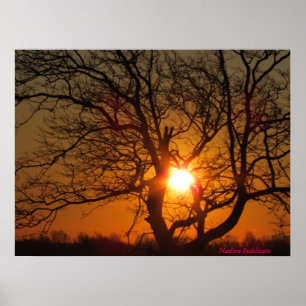 Impressão das canvas do nascer do sol