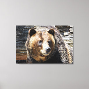 Impressão das canvas do perfil do urso de urso