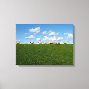 Impressão das canvas dos carneiros