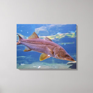 Impressão das canvas dos peixes de Snook