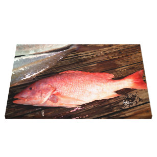 Impressão das canvas dos peixes do luciano