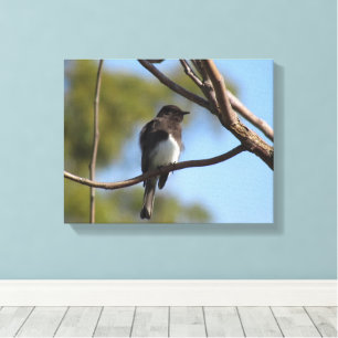 Impressão das canvas - Flycatcher na árvore