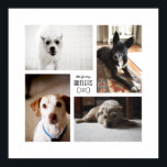 Impressão de 4 Fotografias da Pet da Família Perso<br><div class="desc">Capture as memórias do ano em um impressão quadrado personalizável com quatro de suas fotos favoritas de animais de estimação,  nome e ano em forma divertida de osso de cachorro. Veja este design em mais itens,  aqui >>></div>