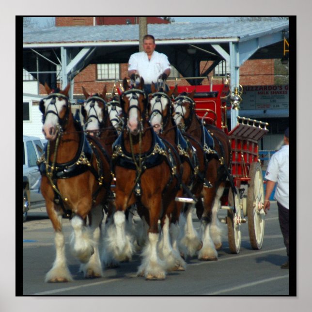 impressão de 6 cavalos (Frente)